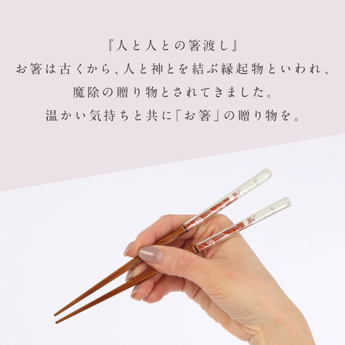 夫婦箸 祝波&箸置ひいらぎ2P.|s12